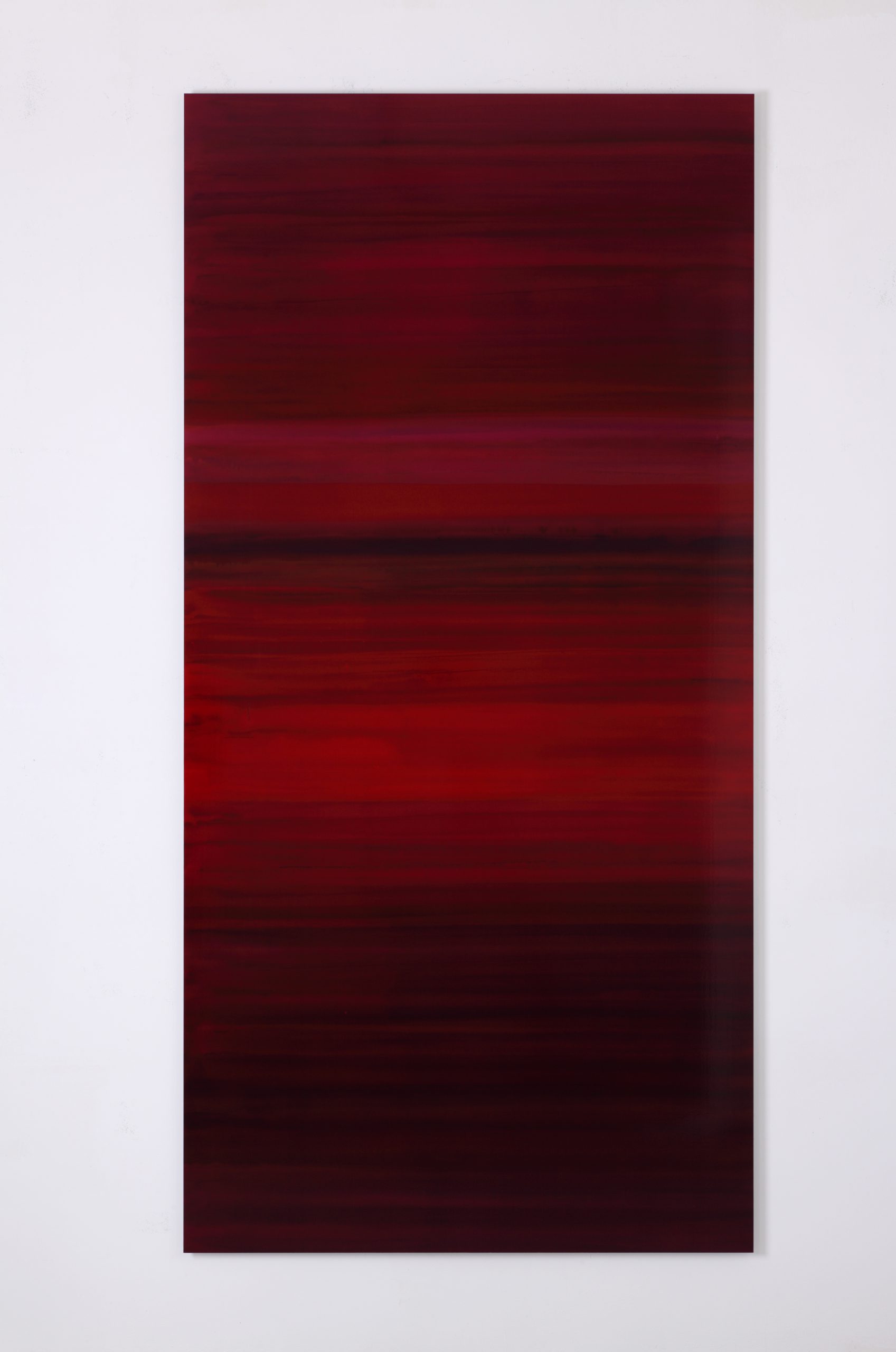 Reds #5, 2007, pigment colours, photographic paper, Dibond, 250 x 123 cm