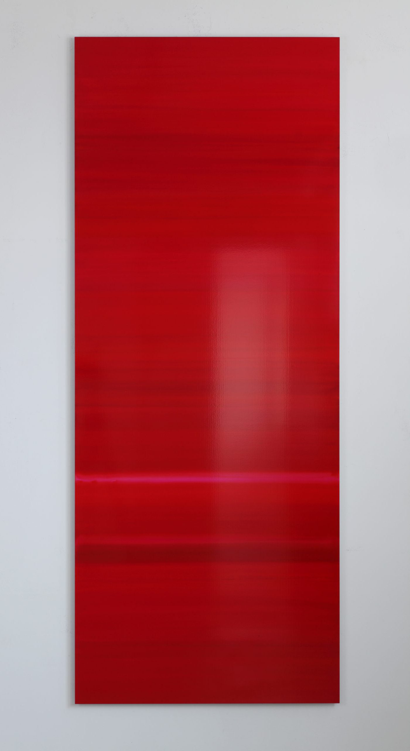 Reds #11, 2007, pigment colours, photographic paper, Dibond, 250 x 100 cm