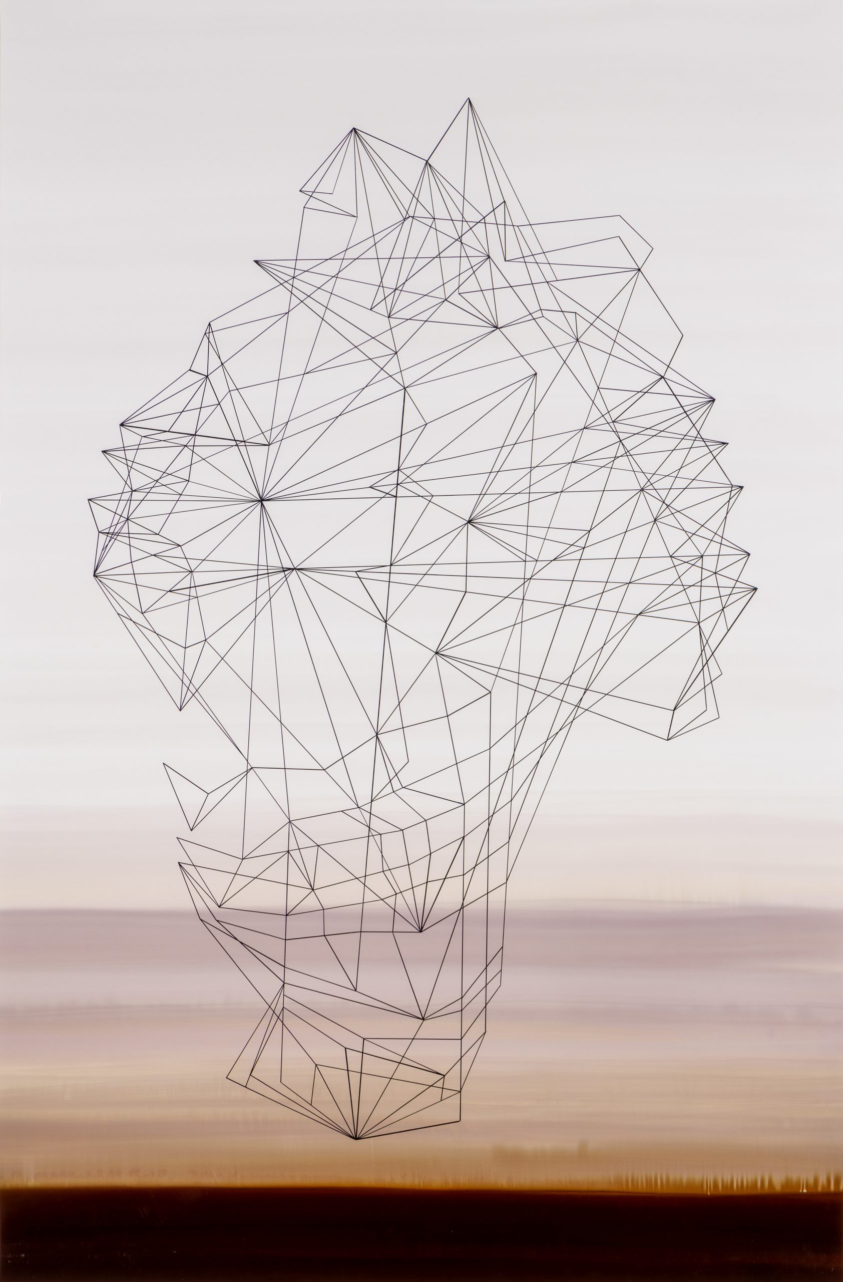 Flächenland #6, 2024, pigment colours, permanent marker, photographic paper, 145 x 95 cm