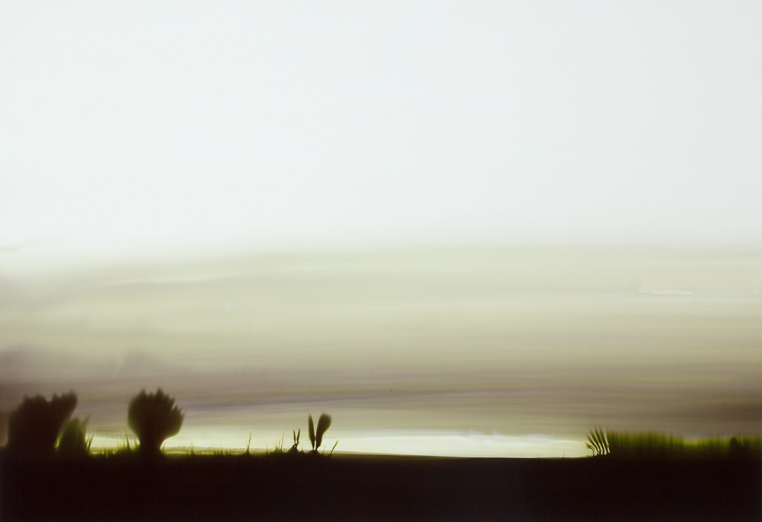 Landscape Antelope Brown #1, 2016, pigment colours, photographic paper, Dibond, 55 x 80 cm
