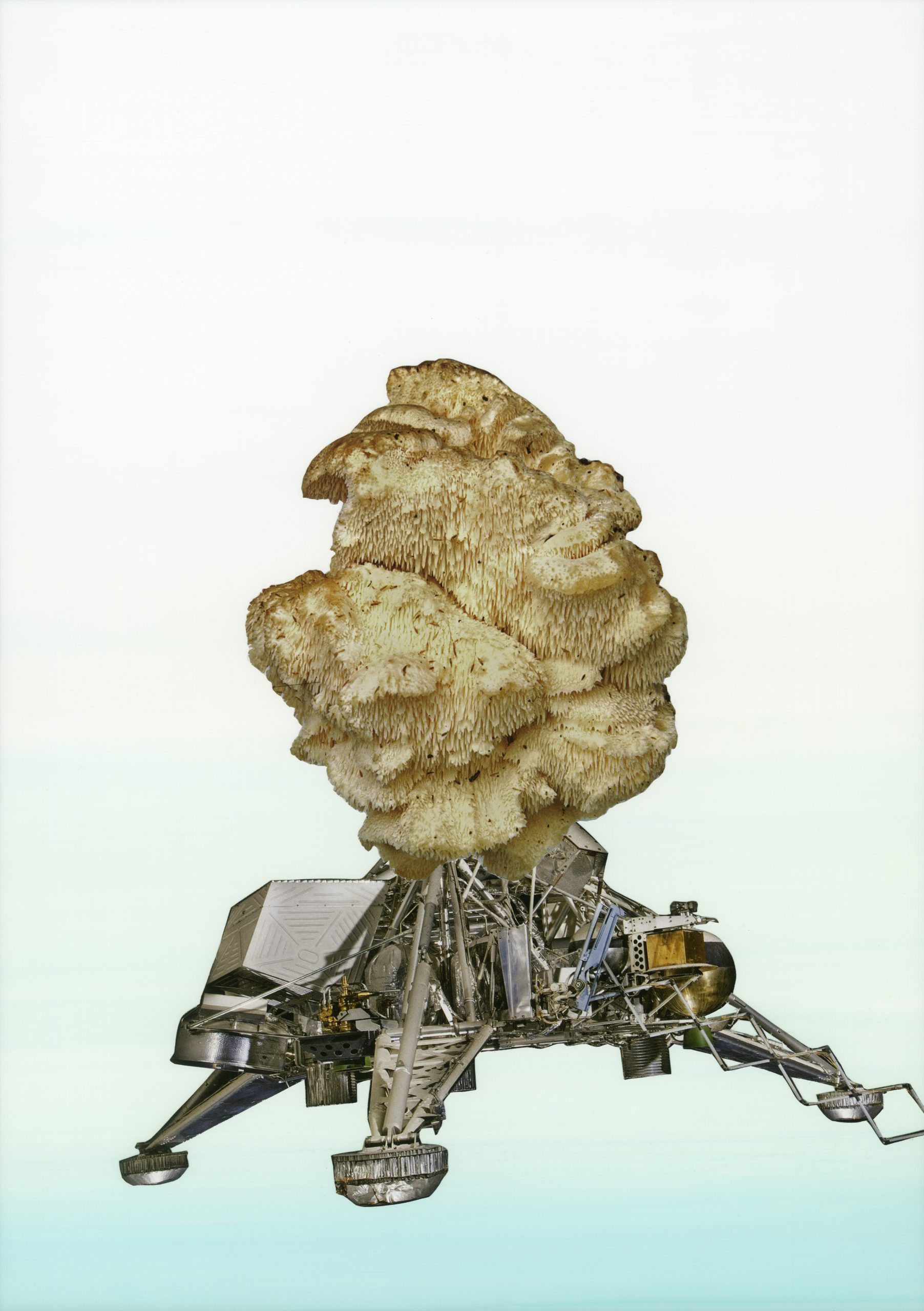 The Absence of a Specified Perspective IX, 2019, collage, pigment print, 46 x 33,6 cm