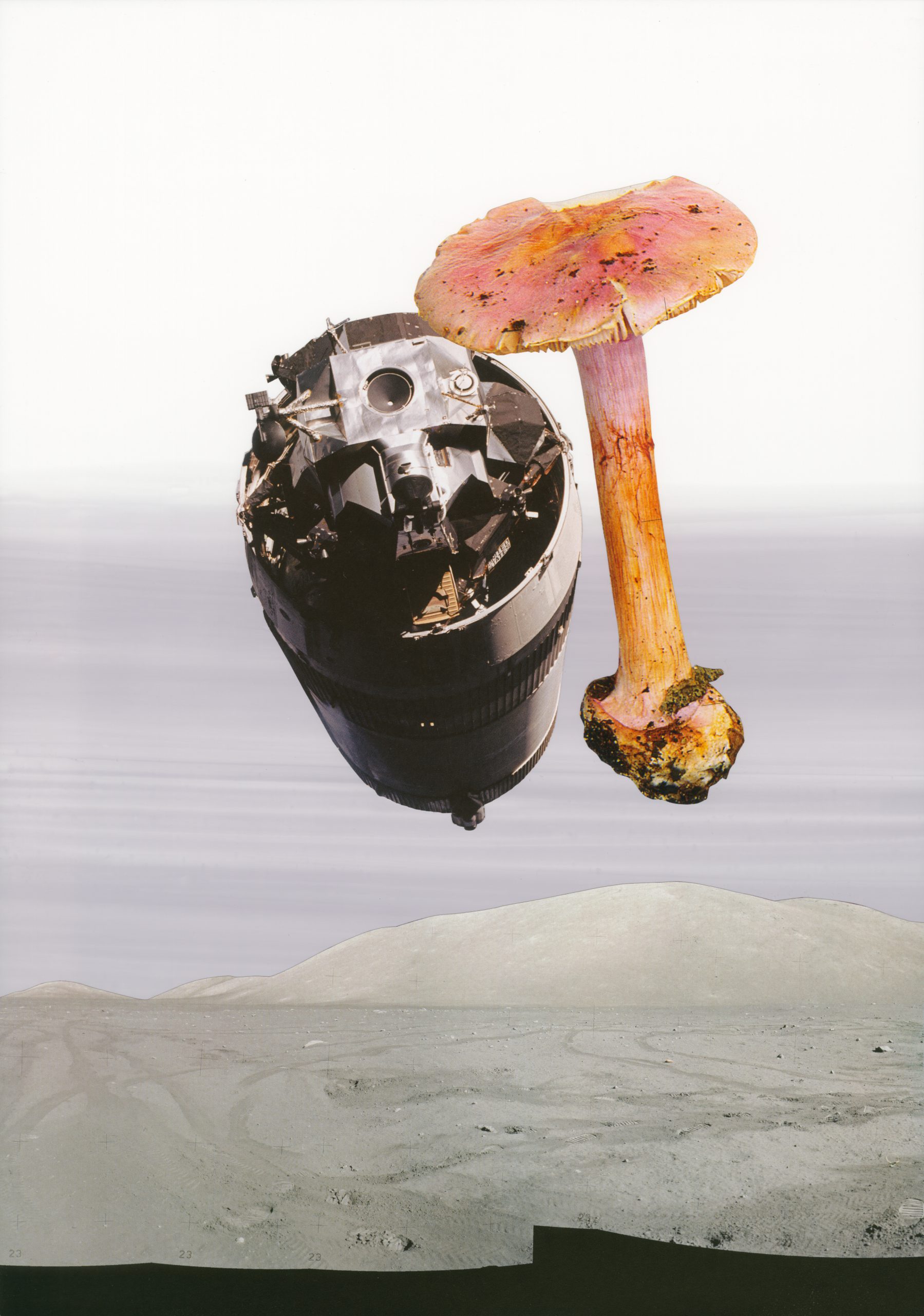 The Absence of a Specified Perspective VI, 2019, collage, pigment print, 46 x 33,6 cm