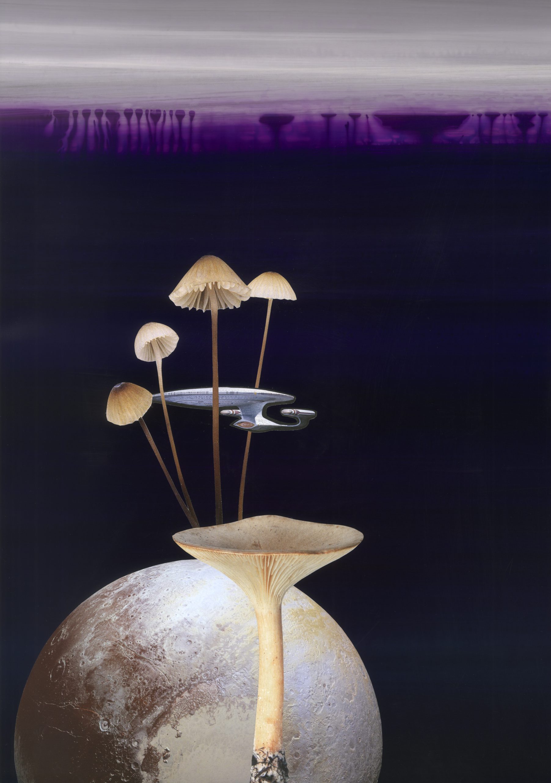 The Absence of a Specified Perspective VIII, 2019, collage, pigment print, 46 x 33,6 cm