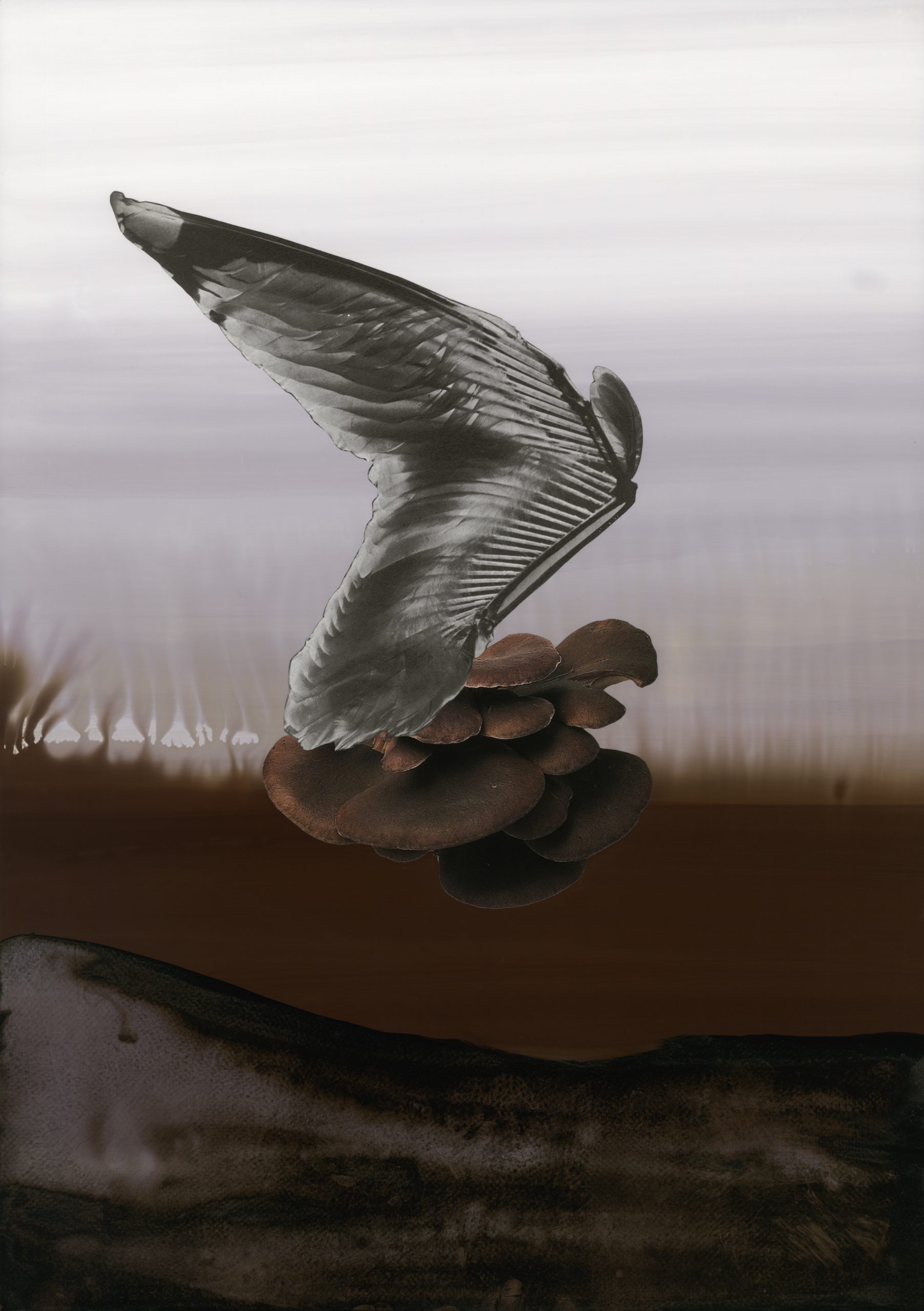 The Absence of a Specified Perspective X, 2019, collage, pigment print, 46 x 33,6 cm